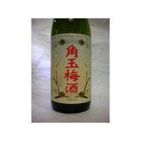 角玉梅酒 1.8L 【鹿児島県 佐多宗二商店】