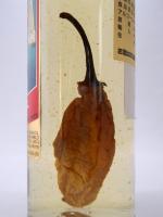 メスカル テワナ コン チレ 500ml  【メキシコ】