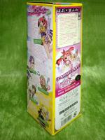 泡盛リキュール あわもえシークワーサー 【沖縄県 請福酒造】