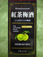 国盛 紅茶梅酒 紙パック 1L 【愛知県 中埜酒造】